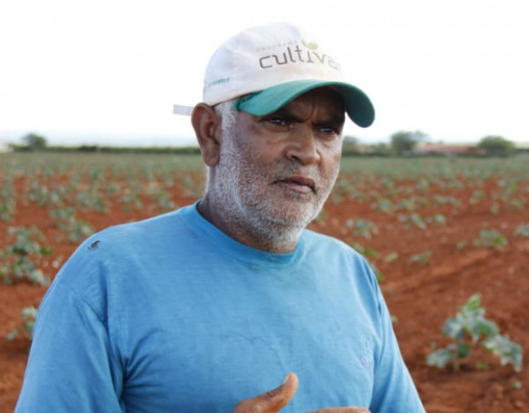 Parceria entre PBio e Embrapa é a última chance para o biodiesel de mamona do semiárido?