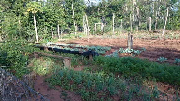 Horta da família Castro, em terreno próximo à plantação de soja organizada por Blas Riquelme.