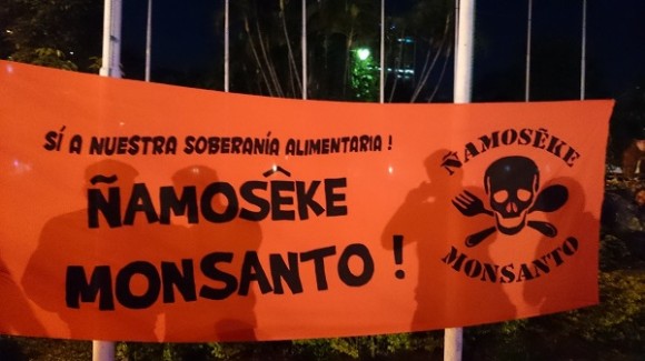 Em Guarani, faixa de protesto exibe a mensagem "Fora Monsanto".