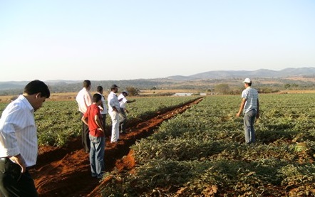 Soja é alternativa para as cooperativas se estruturarem (e sonharem com a diversificação)