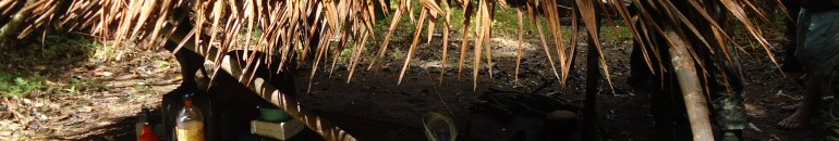 Para procuradores, terceirização não anula culpa por trabalho escravo