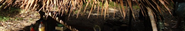 MPF/AM denuncia à Justiça empresário de Barcelos (AM) por trabalho escravo