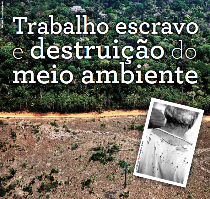 Trabalho escravo e destruição do meio ambiente