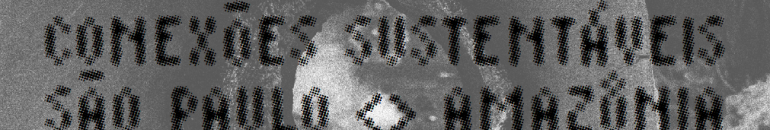 Conexões sustentáveis – Quem se beneficia com a destruição da Amazônia?