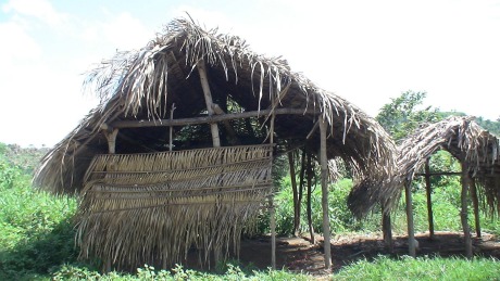 Maranhão nomeia sócio de empresa flagrada com escravos para o governo