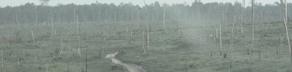 Área de desmatamento em que atuavam resgatados do trabalho escravo na Amazônia