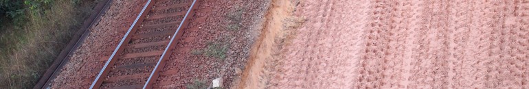 Vale processa quem se manifesta por reparação e emprego