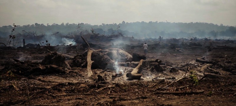 Destruição causada por Belo Monte em ilha habitada por pescadores do rio Xingu, Para (Foto: Repórter Brasil)