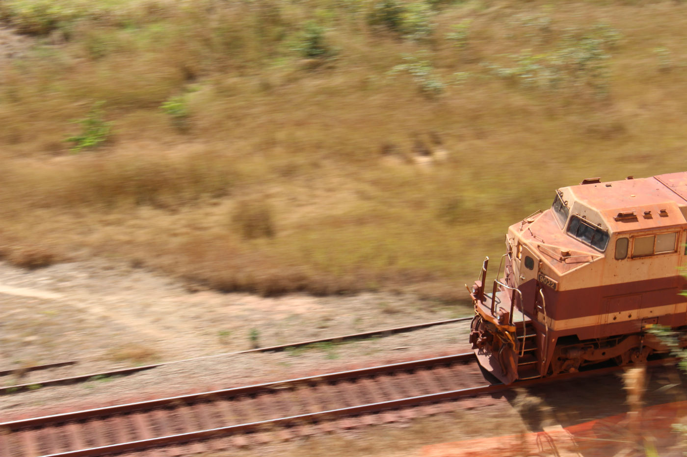Trem de ferro passa ao lado de Casa Azul. Foto: Piero Locatelli