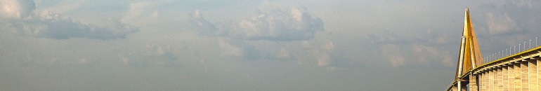 Assassinato revela a violência da especulação imobiliária perto de Manaus