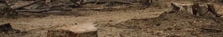 Derrubar árvores para erguer hidrelétricas