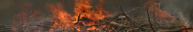 Belo Monte: burning legal timber stokes the fires of Brazil’s illegal lumber market