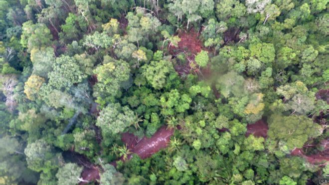 Retirada de árvores na TI Cachoeira Seca deixa "buracos" na floresta. Foto: Juan Doblas/ISA