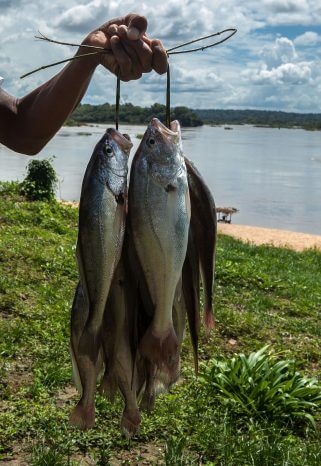 Reporter_Brasil_Tapajós
