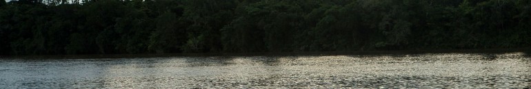 Tapajós dams may bring fish kills, species loss, mercury contamination