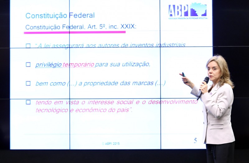 A presidente da ABPI, Elisabeth Kasznar Fekete, durante audiência na Câmara dos Deputados. Foto: Agência Câmara