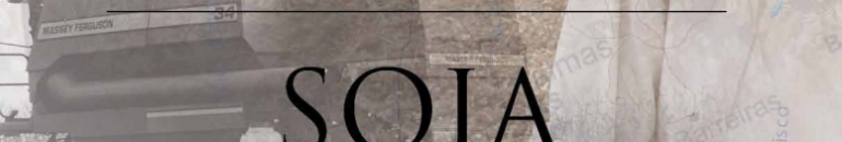 O Brasil dos Agrocombustíveis – Soja 2009