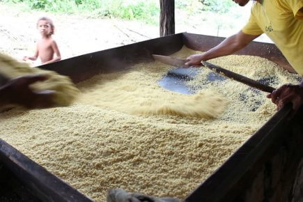 Quilombolas fazem farinha no Maicá. Foto: Mikaell Carvalho