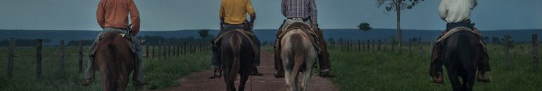 Da fazenda ao frigorífico: a cadeia de problemas trabalhistas na JBS