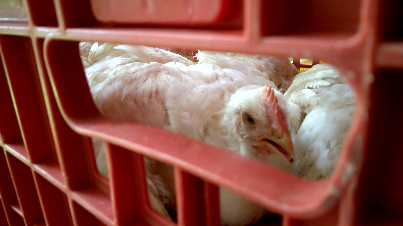 fdasdfadsfa. Foto: André Campos