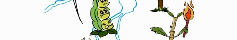 Ocupação na Amazônia