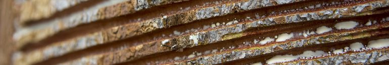 Acre against Chico Mendes