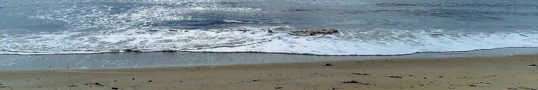 Indústria do turismo despeja indígenas da “Costa do Descobrimento”