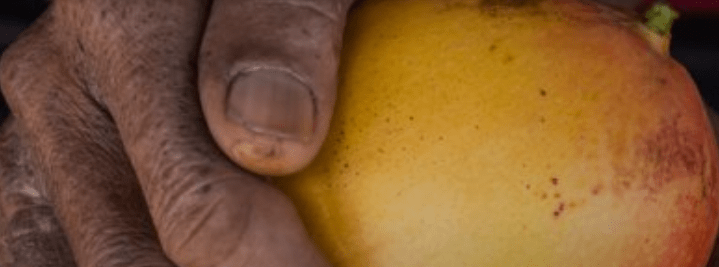 Setor de frutas gera riqueza no Nordeste, mas pouco fica com o trabalhador