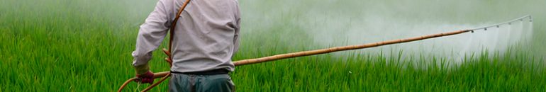 Oficina virtual ‘A conta que o Agro não paga: Impactos socioambientais no rastro das exportações’