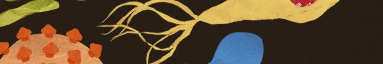 Compra de vacinas triplica em 10 anos e pressiona teto de gastos pós-pandemia