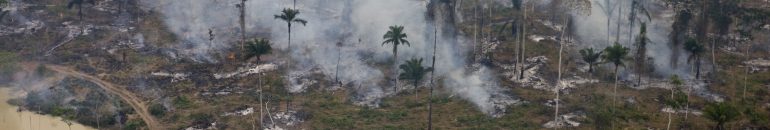 As conexões das Forças Armadas do Reino Unido com o desmatamento no Brasil