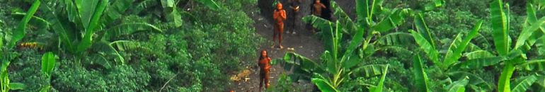 Risco de extermínio: pandemia e governo Bolsonaro ameaçam indígenas isolados