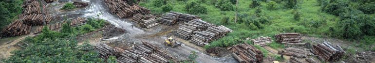 Concentração de poder pelos militares enfraquece políticas para Amazônia e abre caminho para mais desmatamento e queimadas