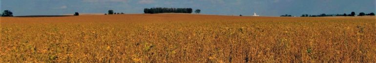 Lobby usa pesquisa não concluída para pressionar Anvisa sobre agrotóxico proibido