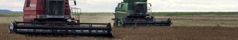 Unicamp suspende pesquisa que poderia liberar agrotóxico letal