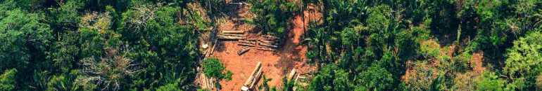 Degradation advances in Mato Grosso and causes zero illegal deforestation target to fail