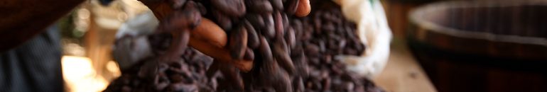 Chocolate com trabalho escravo: as violações trabalhistas na indústria do cacau no Brasil