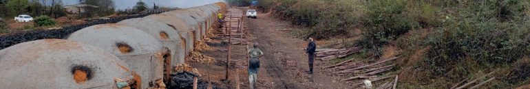 Com grupo Heineken, ‘lista suja’ da escravidão bate recorde de nomes