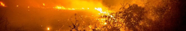 Fogo no Pantanal mato-grossense começou em fazendas de pecuaristas que fornecem para gigantes do agronegócio