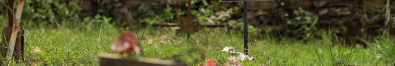 Desastre em Mariana: 55 atingidos pela barragem da Samarco morreram sem ter casa reconstruída pela Fundação Renova