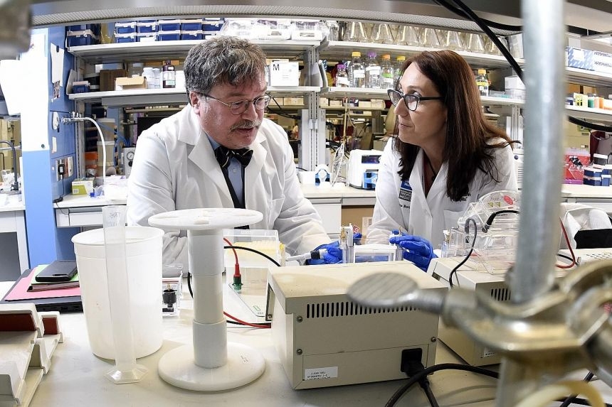 Os cientistas Peter Hotez e Maria Elena Bottazzi