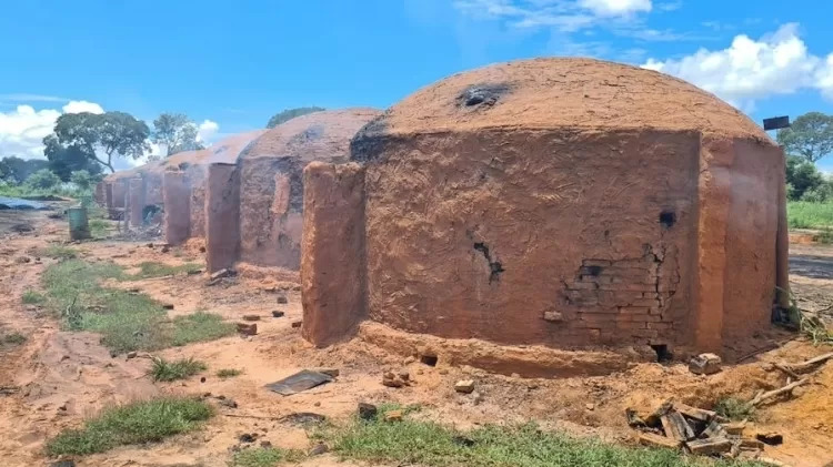 carvoaria de Minas Gerais