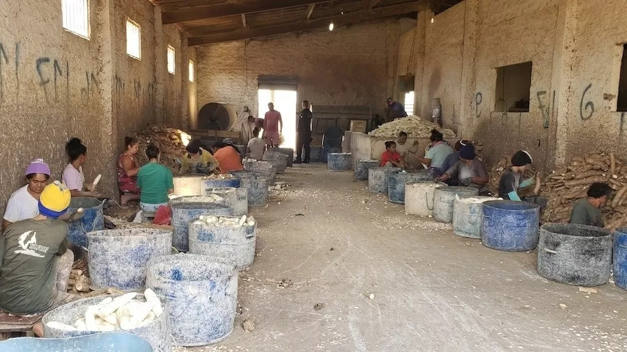 casa de farinha de mandioca no Piauí