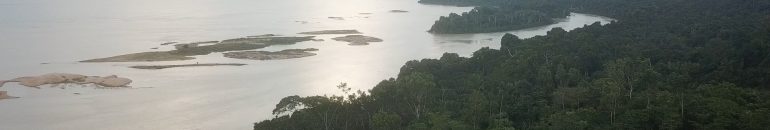 Câmera, drone e celular: as ‘armas’ das jovens Munduruku para resistir à escalada de invasões e ameaças