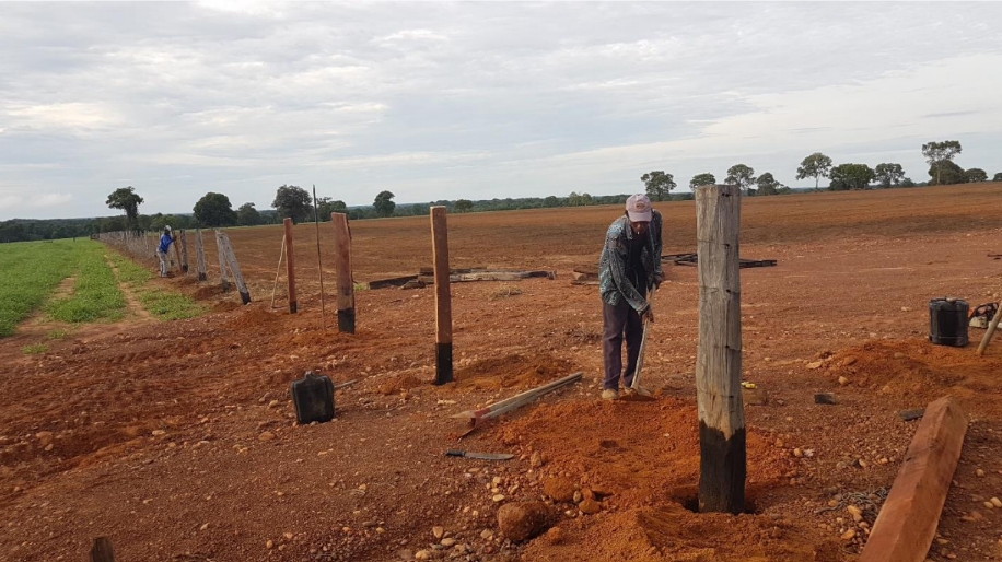 Trabalhadores constroem cercas