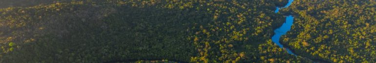 Justiça do Mato Grosso manda anular reserva ambiental na Amazônia após pedido de desmatadores