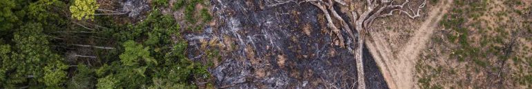 Na rota da destruição: as 3 obras do agro que desmatam a Amazônia e o Pantanal