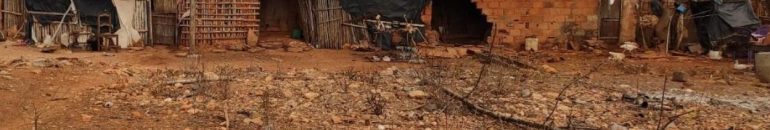 Em decisão inédita, empresa de sisal é multada em R$ 1 milhão por usar matéria-prima com trabalho escravo