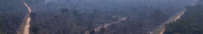 Repórter Brasil oferece bolsas de R$ 8 mil para reportagens sobre o financiamento de violações socioambientais