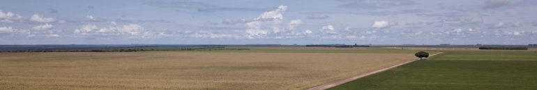 Banco Central proíbe empréstimos para fazendas com embargo no Cerrado